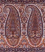 paisley4