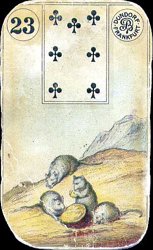 23-rats