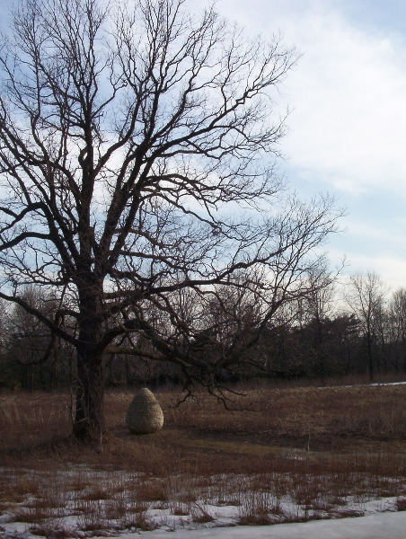 Andy Goldsworthy at SUNY Purchase